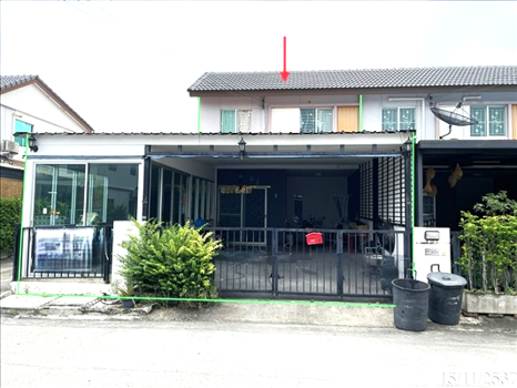 พฤกษา 109