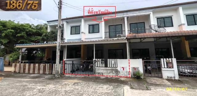 พานาวิว 3