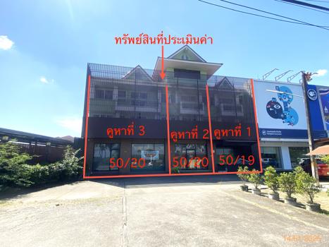 สตาร์แลนด์