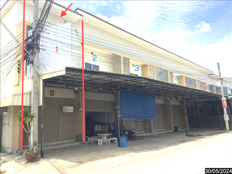 เดอะ ซีนเนอร์รี่