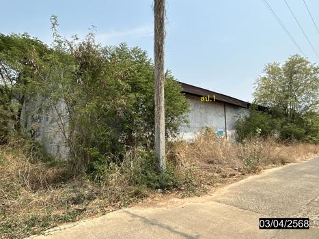 โกดัง ยโสธร
