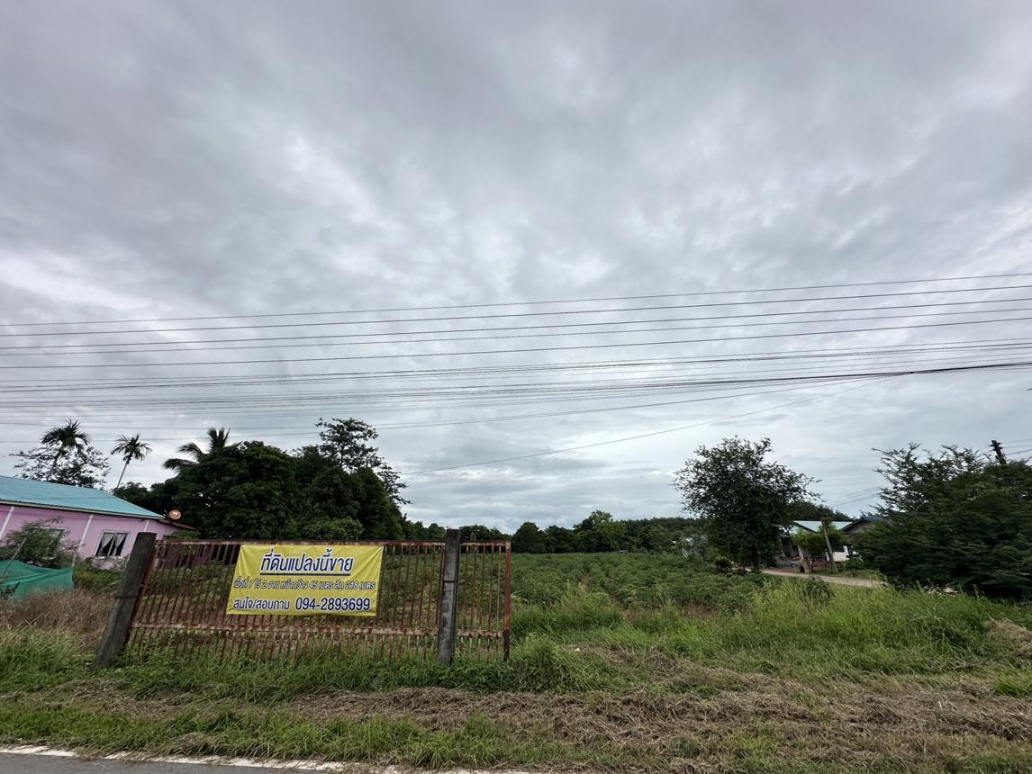 ที่ดินว่างเปล่า เมืองบึงกาฬ จังหวัดบึงกาฬ