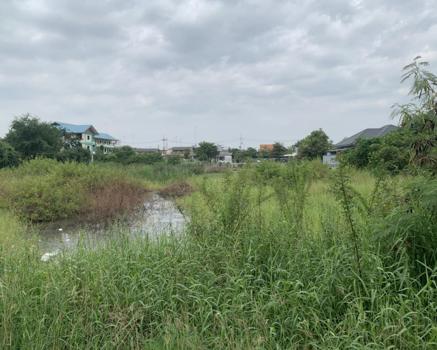 ที่ดินว่างเปล่า สุพรรณบุรี