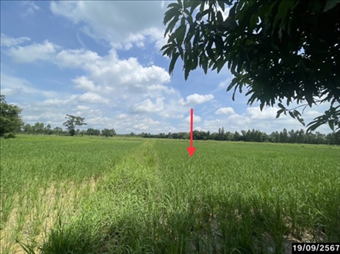 ที่ดินว่างเปล่า บ้านฝาง ขอนแก่น