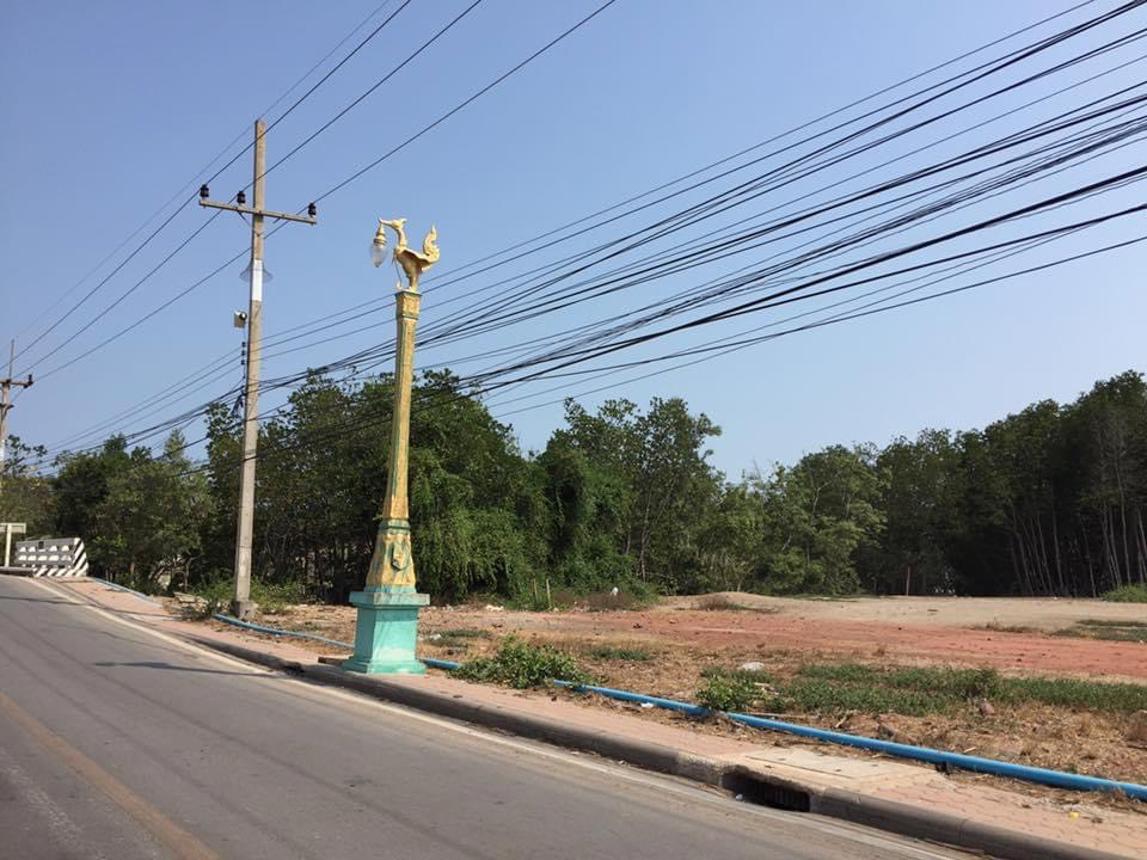 ที่ดินว่างเปล่า เมืองสมุทรสงคราม จังหวัดสมุทรสงคราม