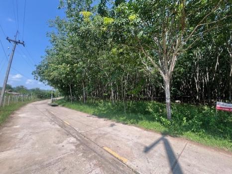 ที่ดินว่างเปล่า เลย