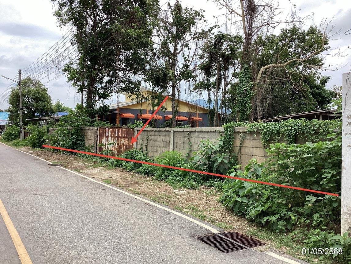 ที่ดินว่างเปล่า เทิง เชียงราย