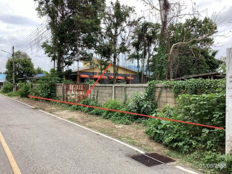 ที่ดินว่างเปล่า เชียงราย