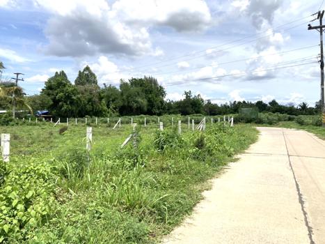 ที่ดินว่างเปล่า นครราชสีมา