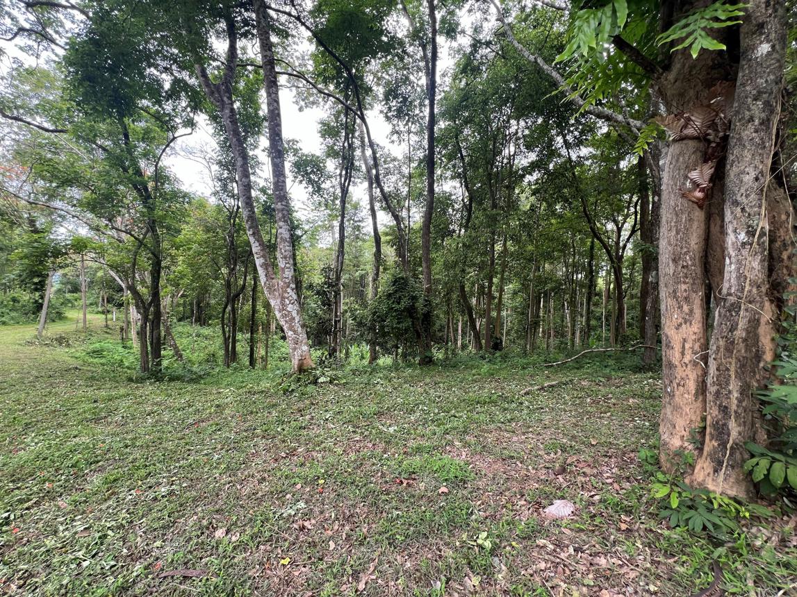 ที่ดินว่างเปล่า โป่งน้ำร้อน จันทบุรี