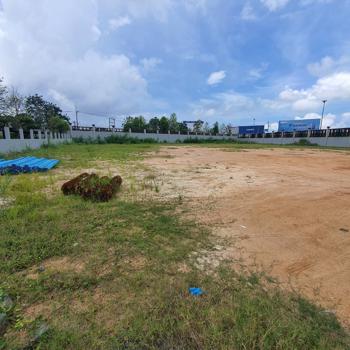 ที่ดินว่างเปล่า ชลบุรี