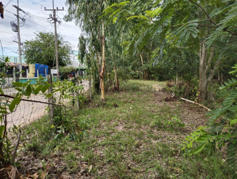 ที่ดินว่างเปล่า กาฬสินธุ์
