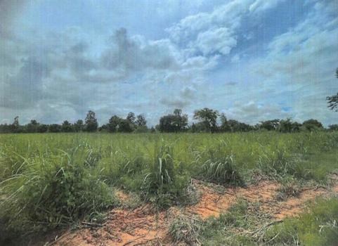 ที่ดินว่างเปล่า หนองบัวลำภู