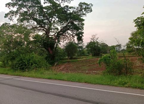 ที่ดินว่างเปล่า นครราชสีมา