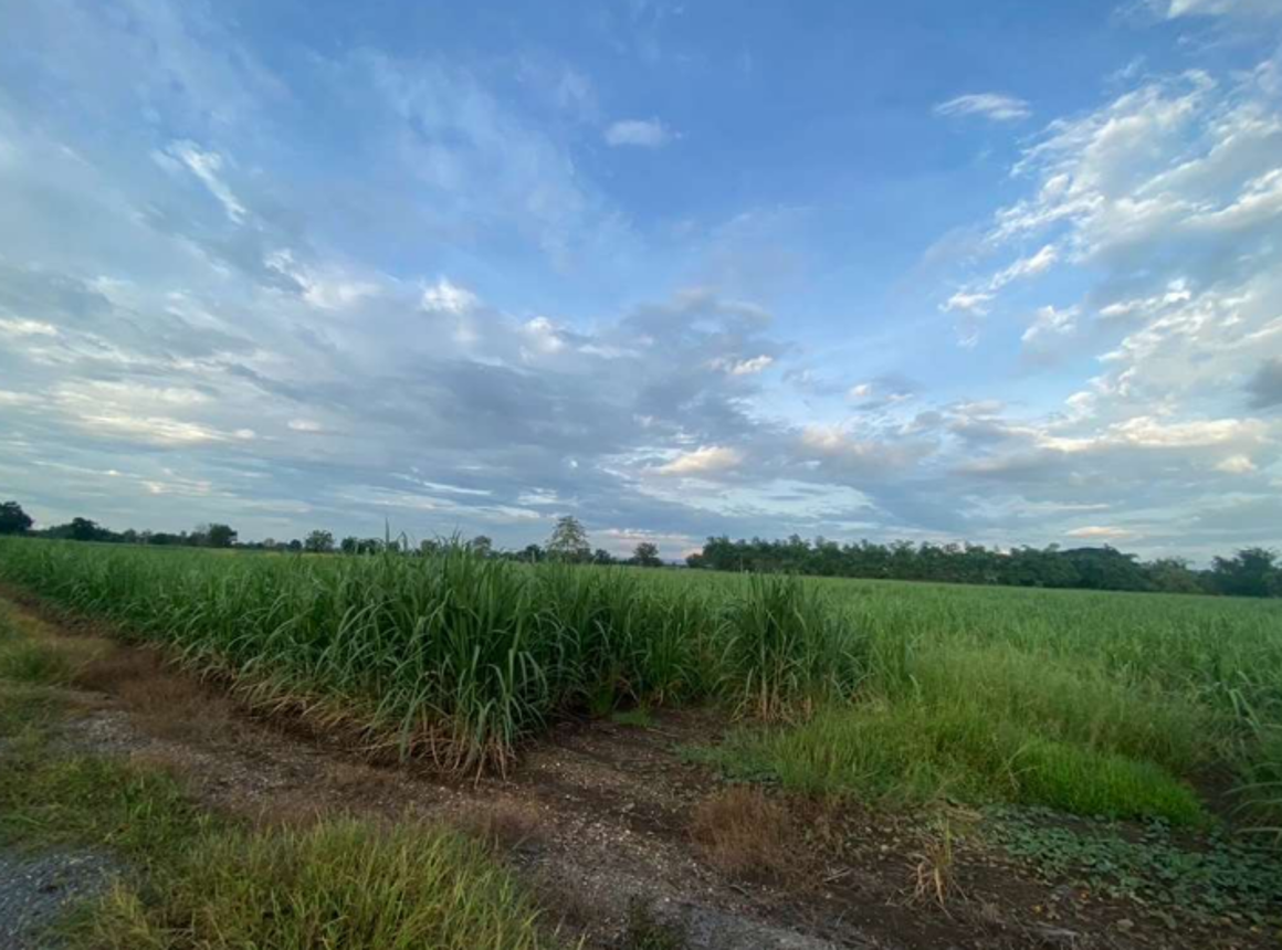ที่ดินว่างเปล่า วิเชียรบุรี เพชรบูรณ์