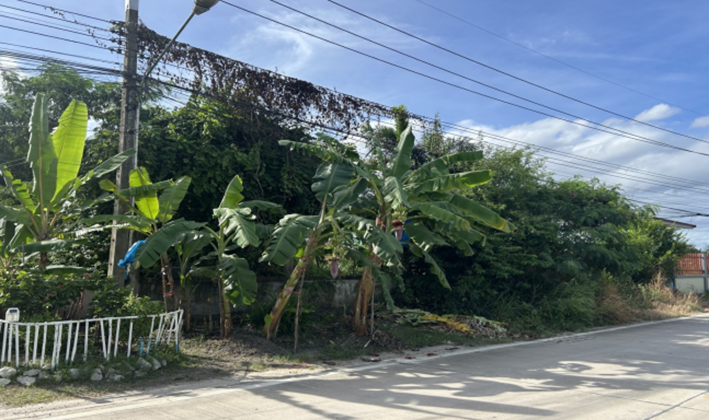 ที่ดินว่างเปล่า เมืองระยอง ระยอง
(แปลงเป็นภาษาไทยที่สมบูรณ์)
ที่ดินว่างเปล่า เมืองระยอง ระยอง