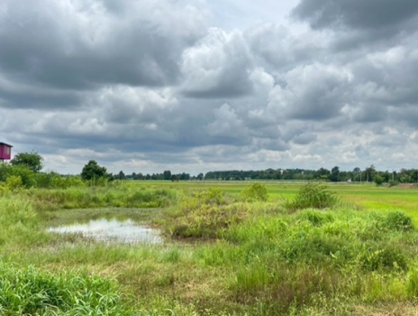 ที่ดินว่างเปล่า กาฬสินธุ์