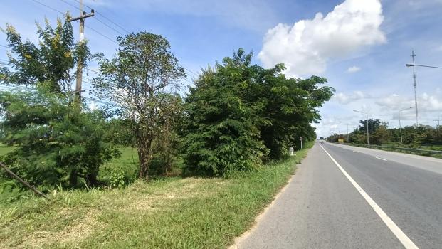 ที่ดินว่างเปล่า ร้อยเอ็ด