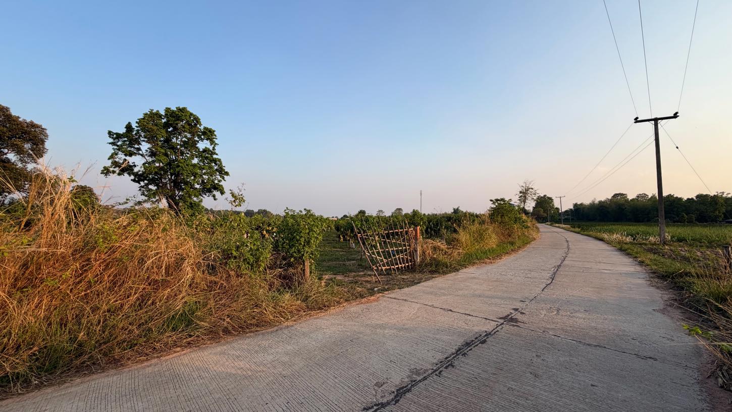 ที่ดินว่างเปล่า หนองกุงศรี กาฬสินธุ์