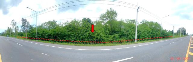 ที่ดิน หนองบัวลำภู