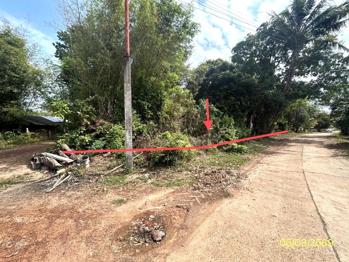 ที่ดินว่างเปล่า พนา อำนาจเจริญ จังหวัดอำนาจเจริญ