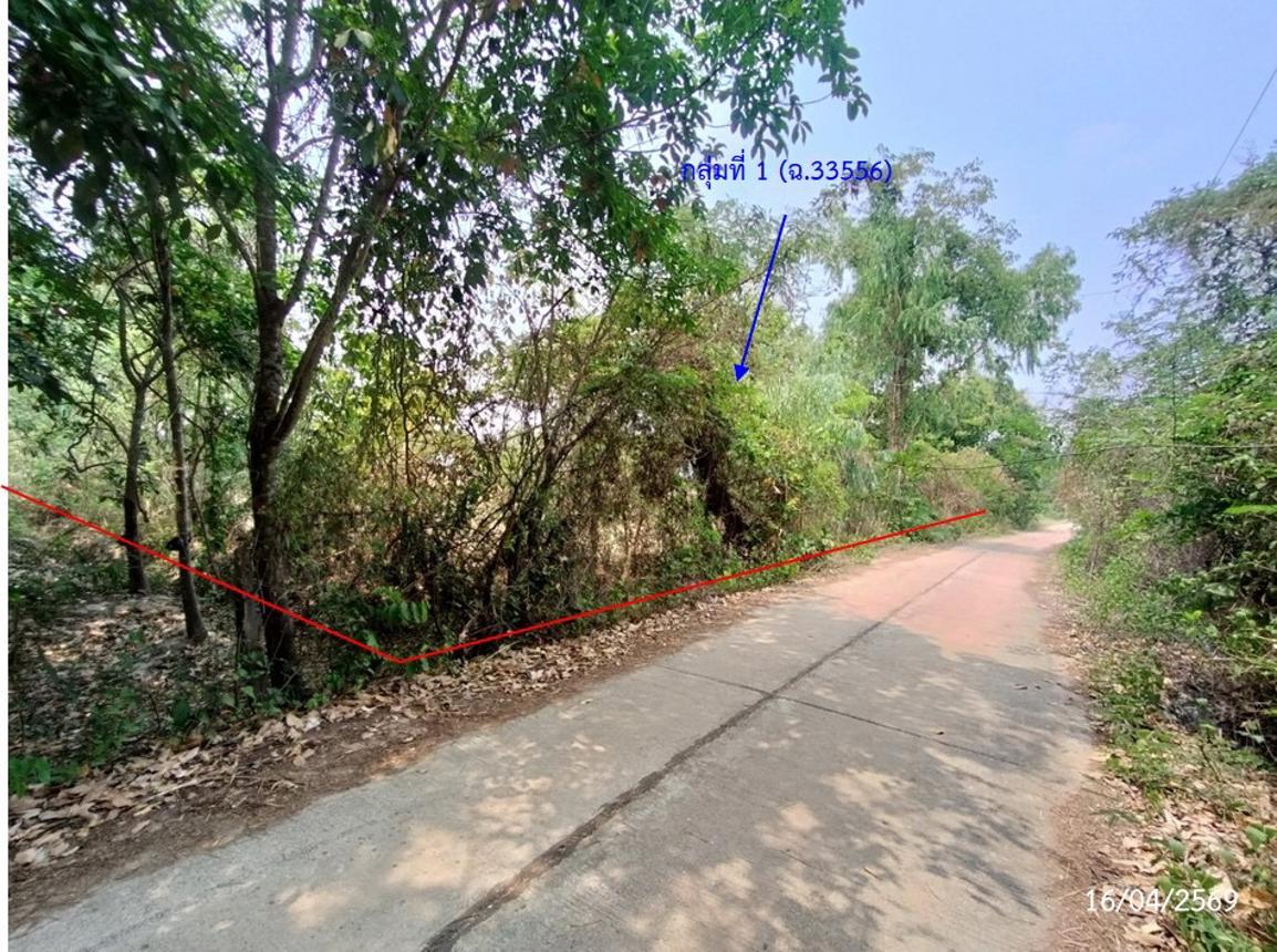 ที่ดินว่างเปล่า เรณูนคร นครพนม จังหวัดนครพนม