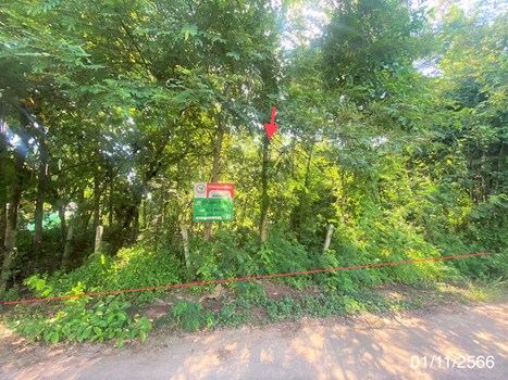 ที่ดิน หนองบัวลำภู