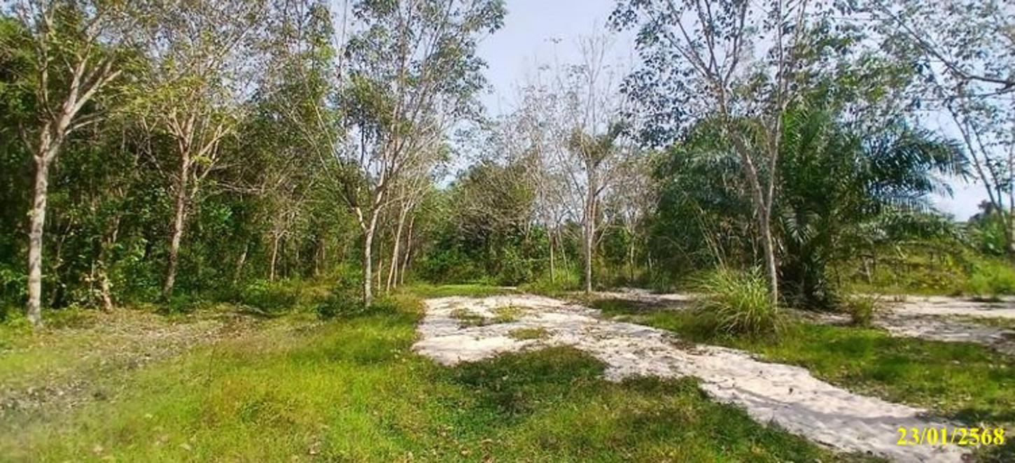 ที่ดินว่างเปล่า รอตันบาตู เมืองนราธิวาส จังหวัดนราธิวาส