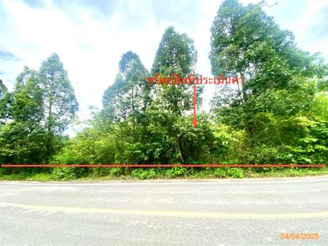 ที่ดินว่างเปล่า ตรัง