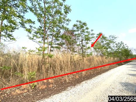 ที่ดิน หนองบัวลำภู
