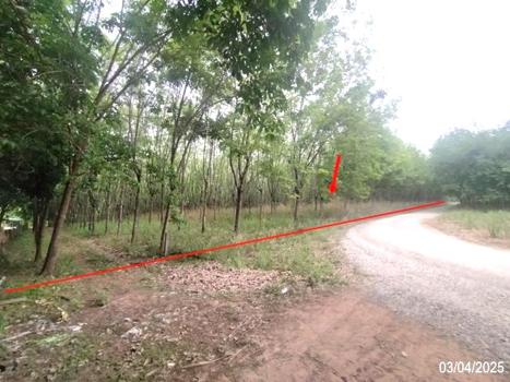 ที่ดิน หนองบัวลำภู