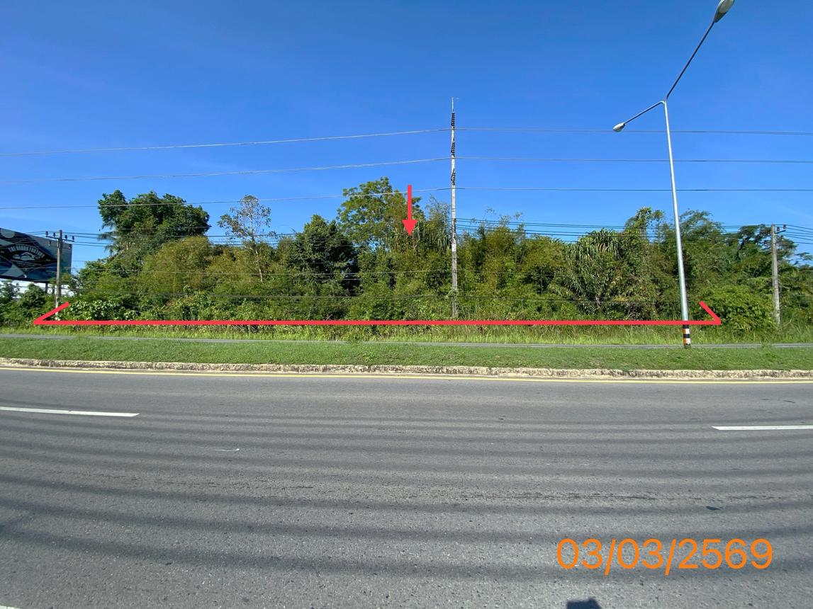 ที่ดินว่างเปล่า ตะกั่วป่า พังงา