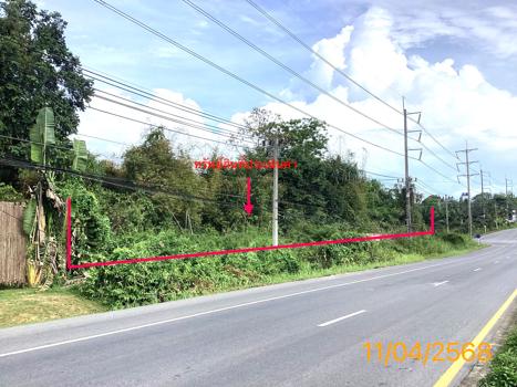 ที่ดินว่างเปล่า พังงา