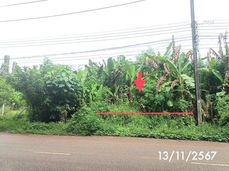 ที่ดินว่างเปล่า ตรัง