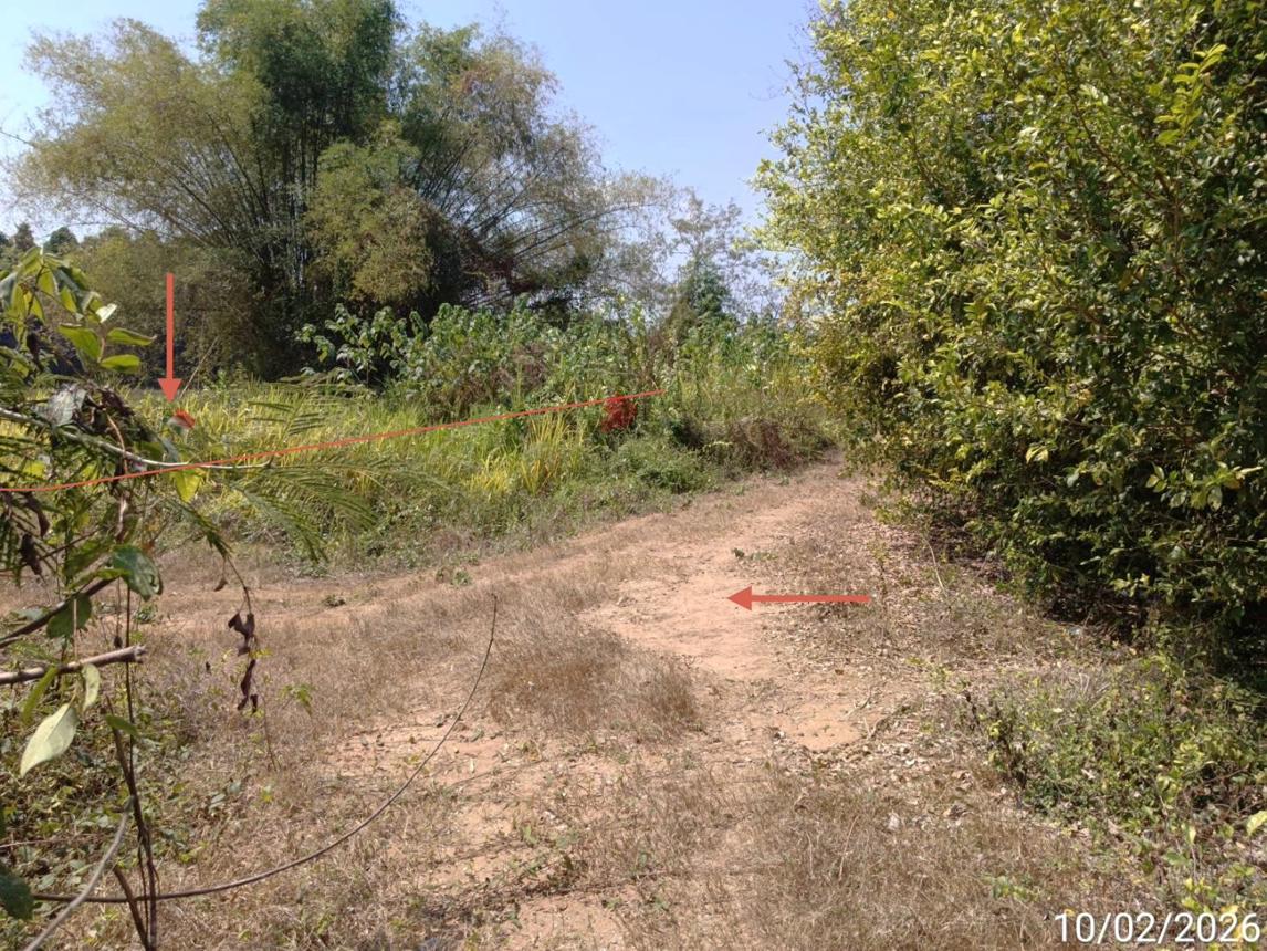 ที่ดินว่างเปล่า เมืองพิจิตร พิจิตร