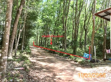 ที่ดินว่างเปล่า พังงา
