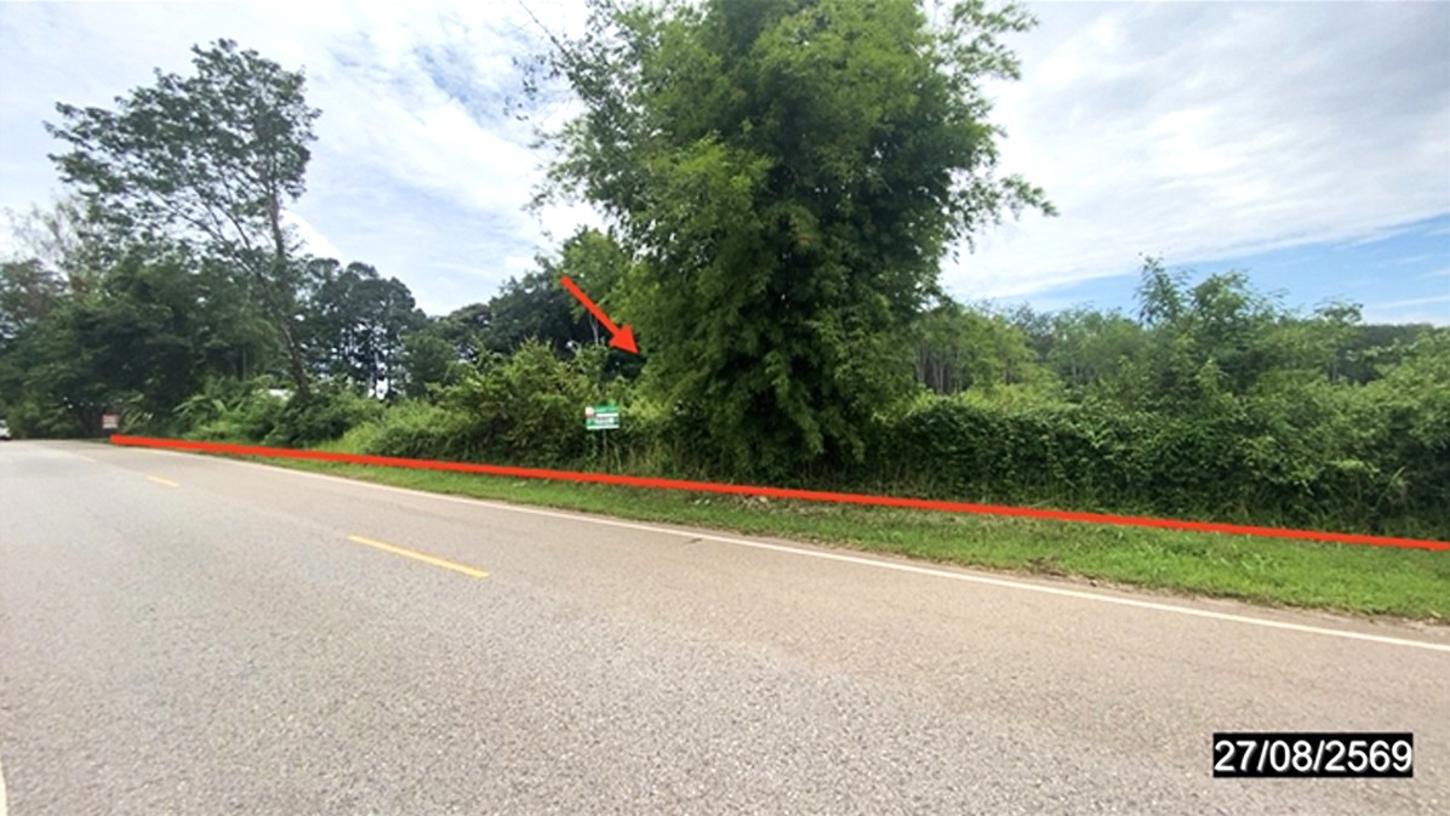 Empty Land for Sale in Si Wilai, Bueng Kan Province