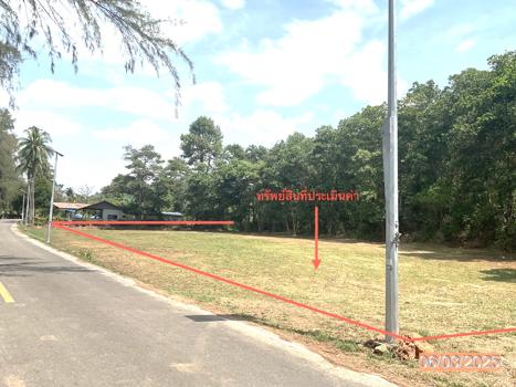 ที่ดินว่างเปล่า ตรัง