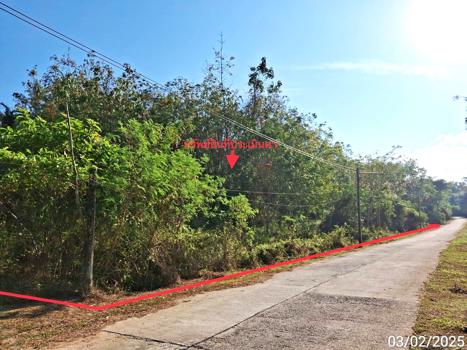 ที่ดินว่างเปล่า ตรัง