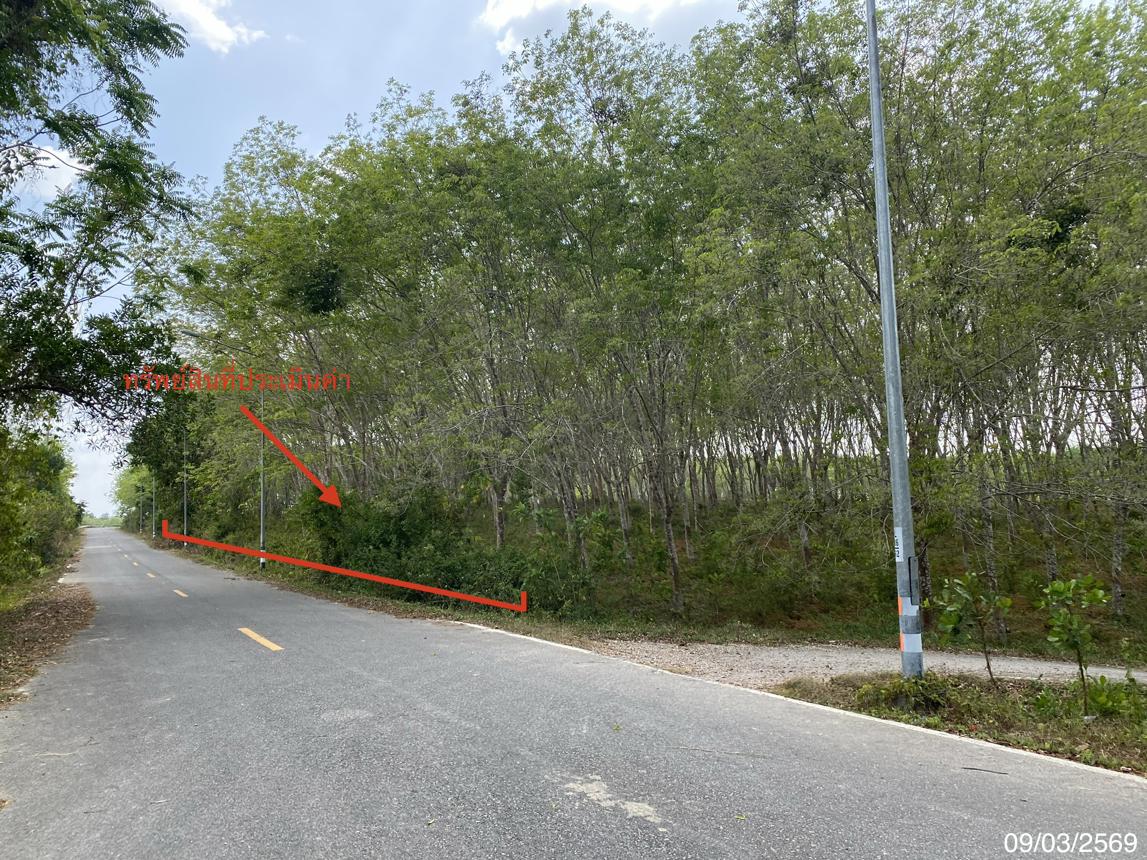 ที่ดินว่างเปล่า นาทวี สงขลา
