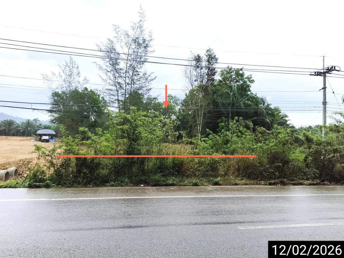ที่ดินว่างเปล่า ซีวี ชุมพร