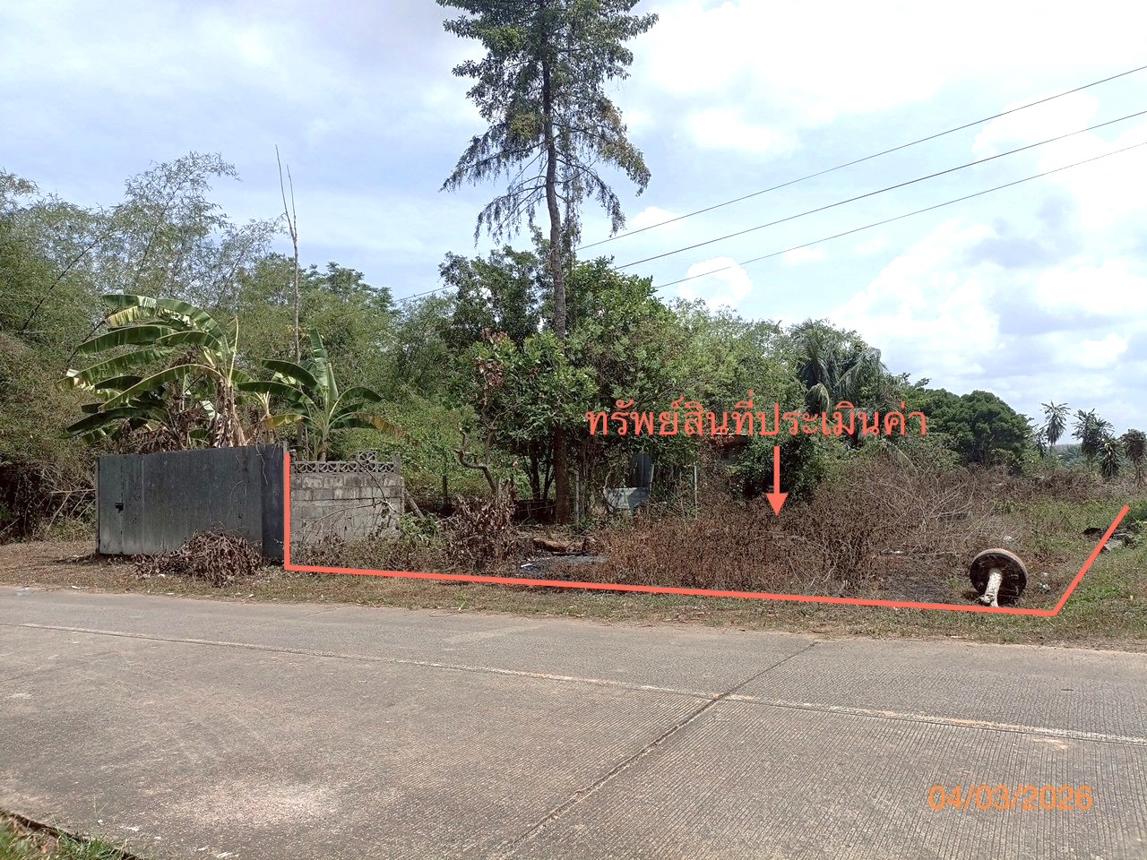 ที่ดินว่างเปล่า เมืองตรัง ตรัง