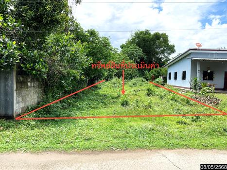 ที่ดินว่างเปล่า ตรัง