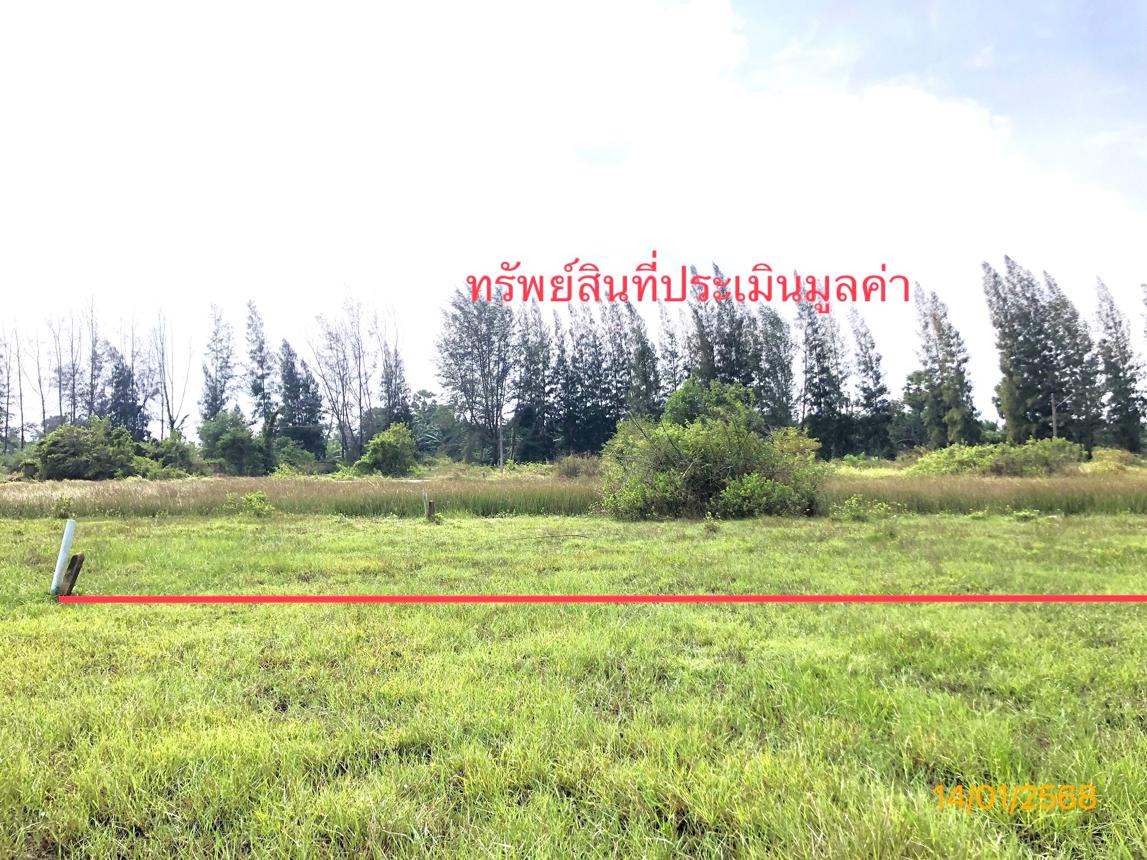 ที่ดิน สุราษฎร์ธานี