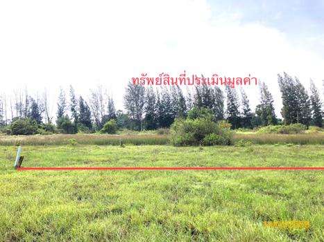 ที่ดินว่างเปล่า สุราษฎร์ธานี