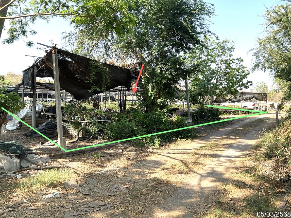 ที่ดิน อ่างทอง