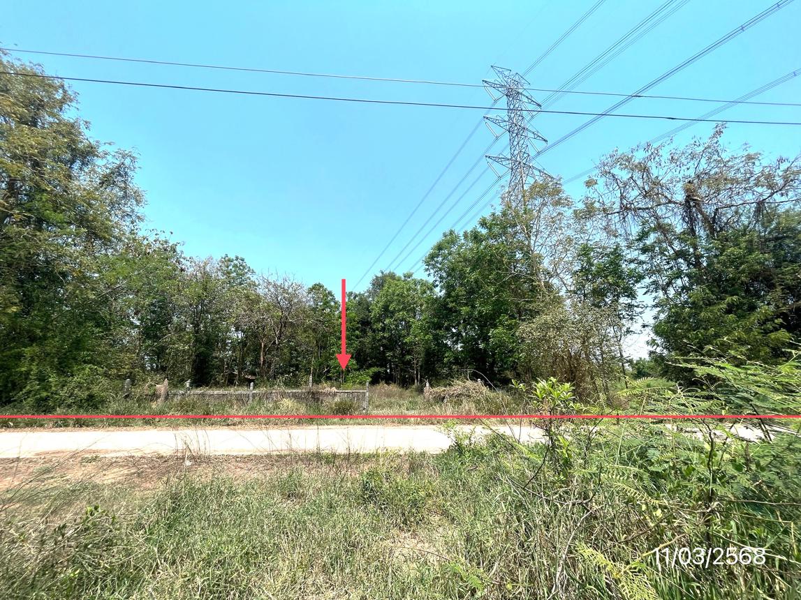 ที่ดิน พิษณุโลก