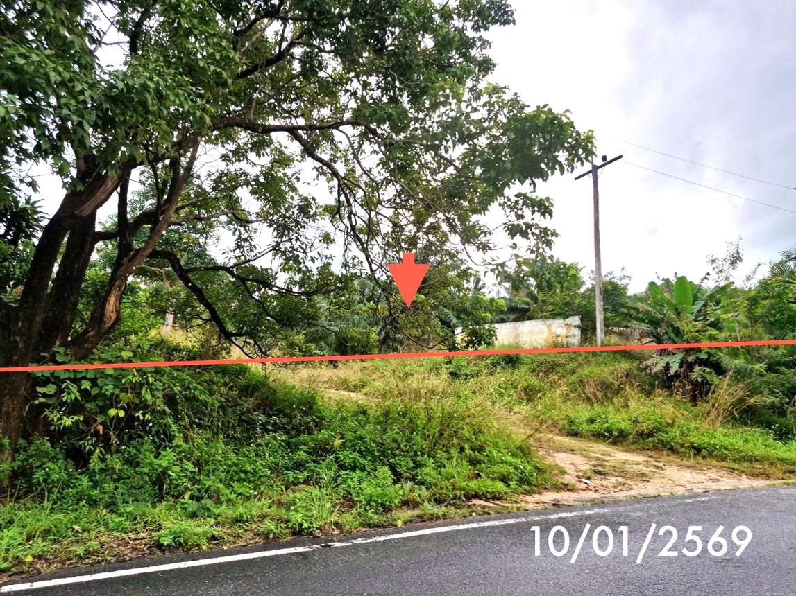 ที่ดินว่างเปล่า เมืองสิชล จังหวัดนครศรีธรรมราช