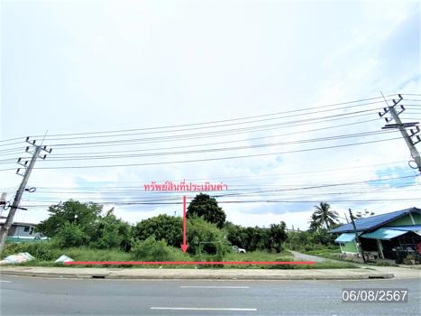 ที่ดินว่างเปล่า สงขลา