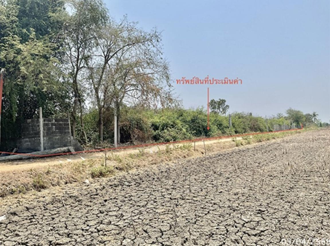 ที่ดินว่างเปล่า เมืองเพชรบุรี เพชรบุรี